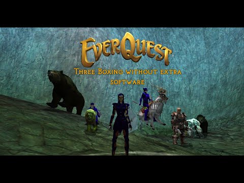 Everquest : Boxing without third party software