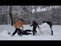 Goodbye Snowman