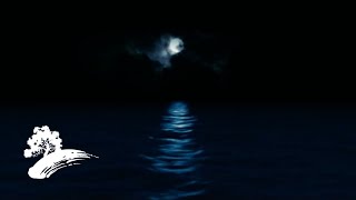 Denis Solee - Blues In the Night [FULL ALBUM]