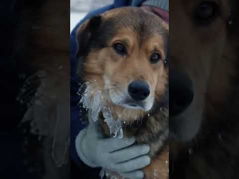 Oh my gosh that’s dog 🐕