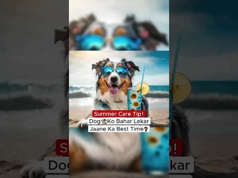 SUMMER CARE TIP❗️ Dog Ko Bahar Lekar Jaane Ka Best Time❓