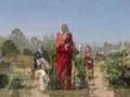 Community Farms And Gardens Press Release