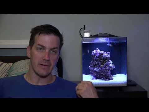 Slide 4 - Fluval SEA Evo 52L Aquarium Set (video)