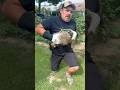 I WAS ATTACKED BY A GROUNDHOG #animals #groundhogs #animalshorts #fyp #reels  @WhenAnimalsAttack