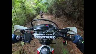 加茂広域の東側　フラット