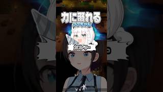 とあるアイテムで『急に様子がおかしくなる』フブちゃんとスバちゃん【ホロライブ切り抜き/ホロライブ/白上フブキ/大空スバル 】#shorts