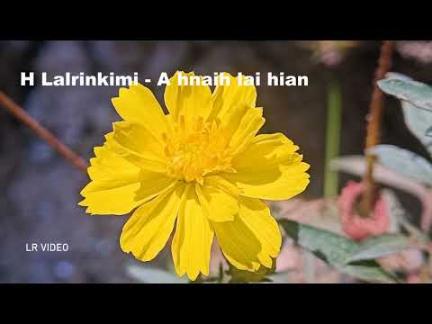H Lalrinkimi -  A hnaih lai hian zawng rawh u