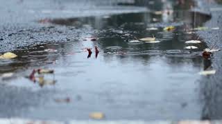 Rain falls as nor'easter hits Danbury, CT