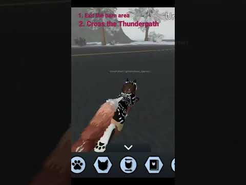 How to get to the Moonstone from the barn! #warriorcats #wcue #warriors