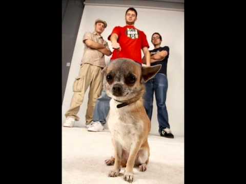 Dwa Sławy - Oda do wody