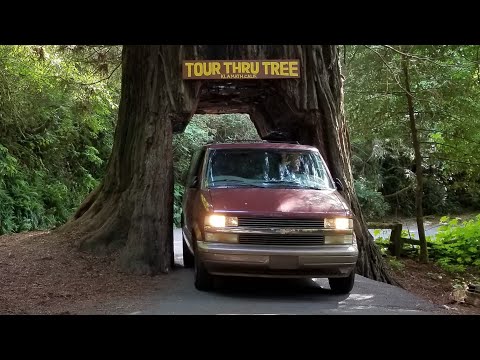 🌳I Drove Thru a Tree!!! Tour Thru Tree - Klamath, CA Burger Planet Adventures