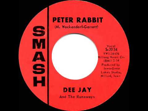 1966 HITS ARCHIVE: Peter Rabbit - Dee Jay & The Runaways (mono 45)