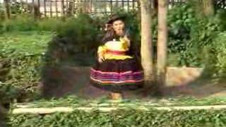 TRENCITO MACHO-(Estrellita de Huayllay)