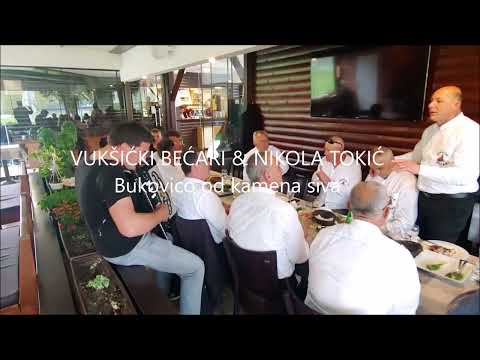 VUKŠIĆKI BEĆARI & NIKOLA TOKIĆ ~ Bukovico od kamena siva (1080P HD )