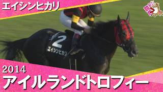 2014年アイルランドトロフィー 　エイシンヒカリ　【カンテレ公式】