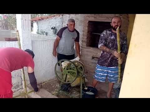 Moagem  de cana de açúcar na serra da pedra branca ceará na casa do meu pai seu Chico 