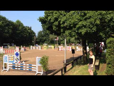 Verkaufspferd Christhor R Holsteiner Wallach von Cristo x Lansing