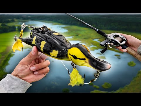 Fishing a Topwater DUCK in a Swamp Full of Pike... 🐊