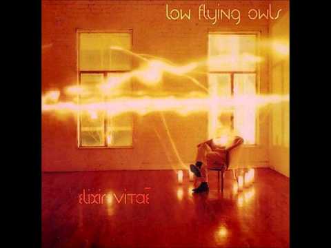 What my friend say   Low Flying owls