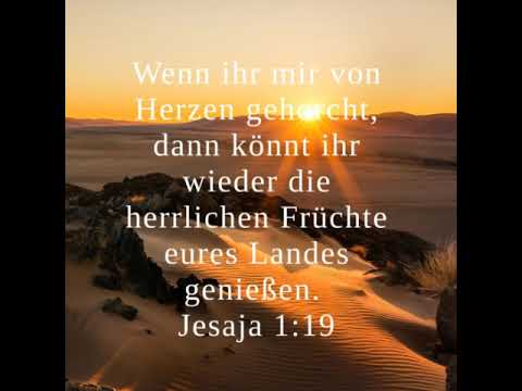 Sei voll Zuversicht! Konfidenz mit gesunder Arroganz! Alles ist gut und dient uns zum Besten.