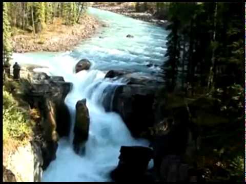 Hino 440/455 CCB - Quão ditoso é caminhar com Jesus! (Jovens Menores)