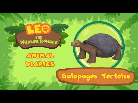 Witness21 Editor  2021 09 18