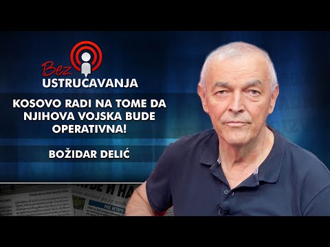 Božidar Delić - Kosovo radi na tome da njihova vojska bude operativna!