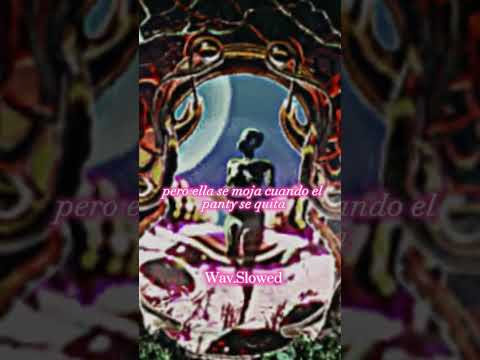 Chris Palace , Jay Wheeler - Acho Mami  (𝒔𝒍𝒐𝒘𝒆𝒅 + 𝒓𝒆𝒗𝒆𝒓𝒃)