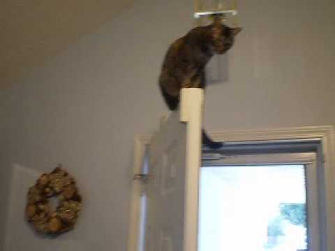 Clare on door 082012