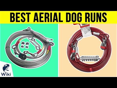 10 Best Aerial Dog Runs 2019
