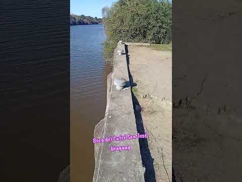 Boca del Cufré San José Uruguay