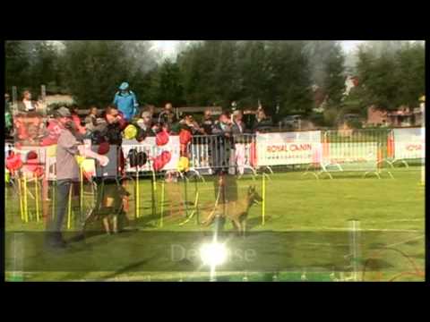 coupe de belgique 2012