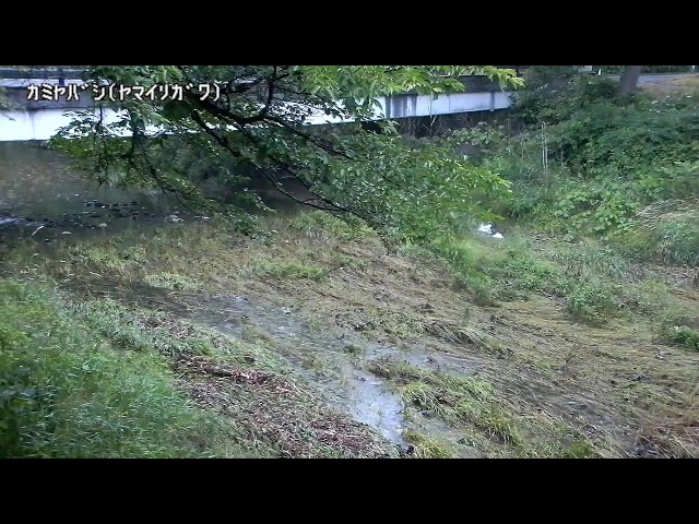 紙谷橋映像監視局
