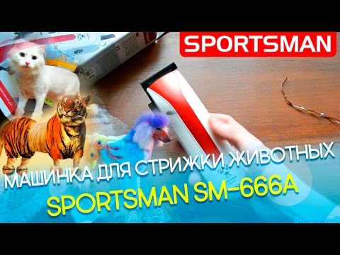 Машинка для стрижки Sportsman SM-666A: Видео обзор и распаковка