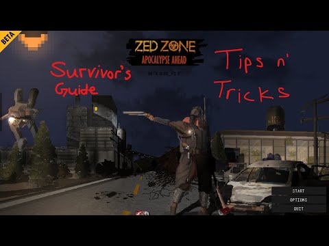 Zed Zone Survivor's Guide - Tips n' Tricks