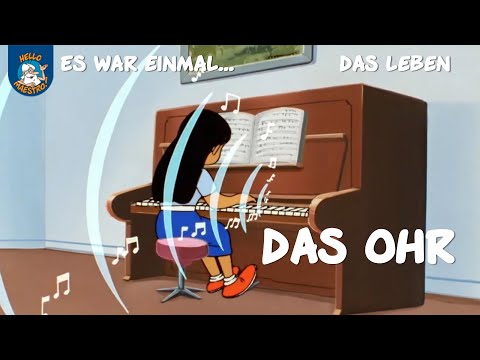 Das Ohr (Es war einmal... das Leben | Ausschnitt)