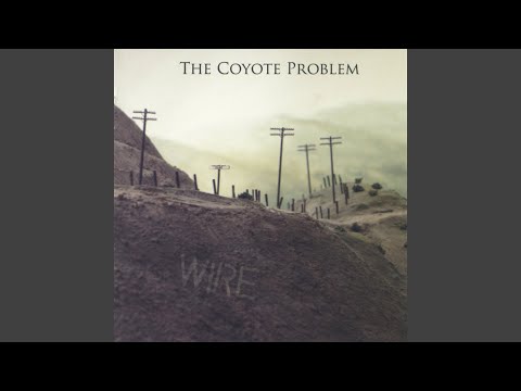 Its Always 4 20 Somewhere - The Coyote Problem