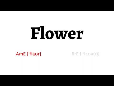 How to Pronounce flower in American English and British Englishflower