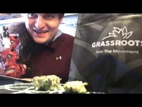 Chem de la Chem by GRASSROOTS