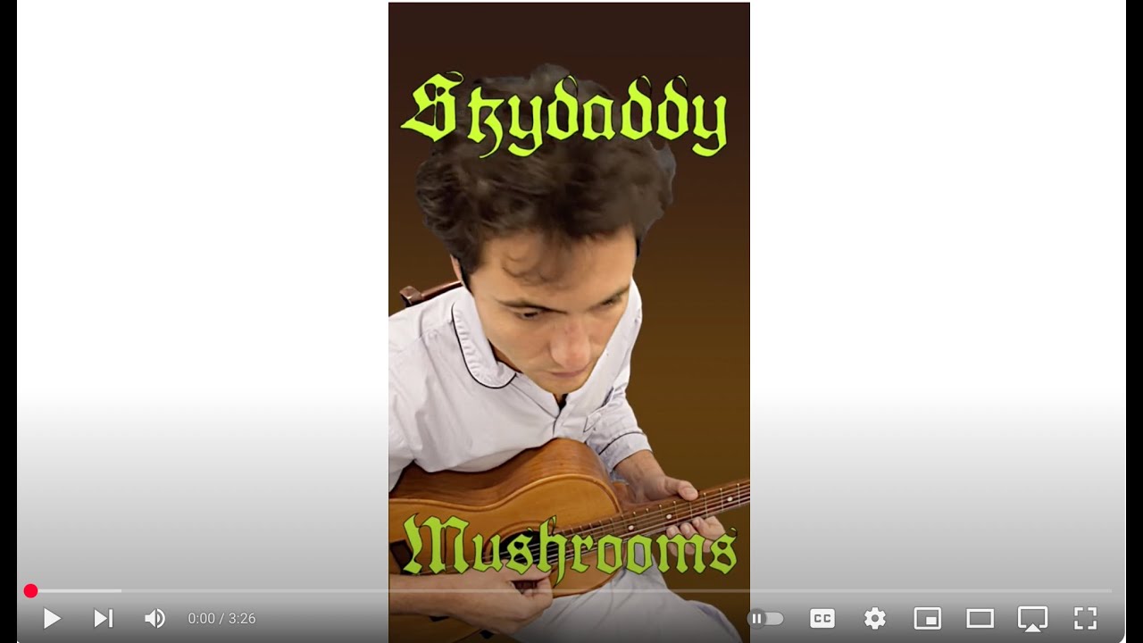 Skydaddy - Mushrooms (Official Video)