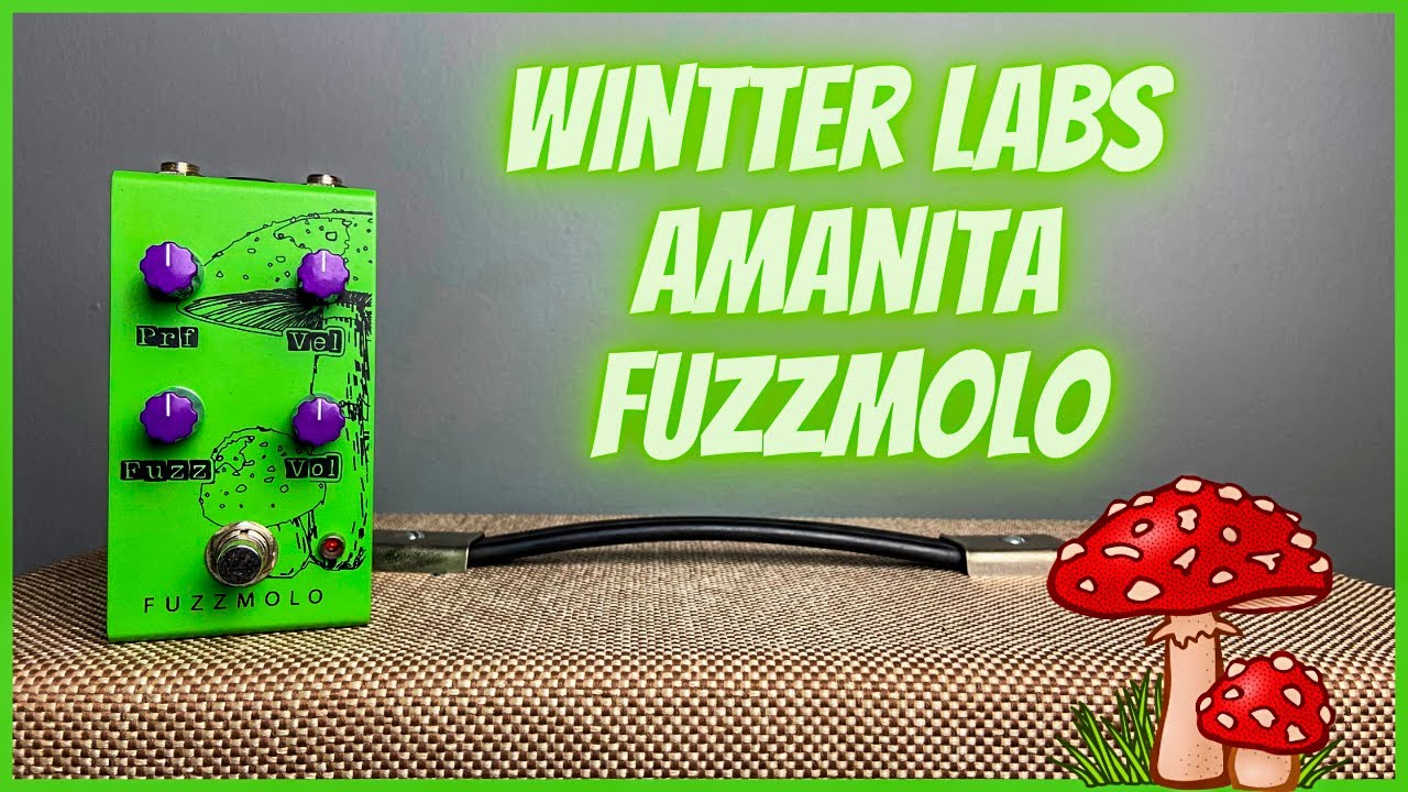 Esse pedal não é para qualquer um | Wintter Labs Amanita Fuzzmolo | Franco Guitars | Perfect Tone |