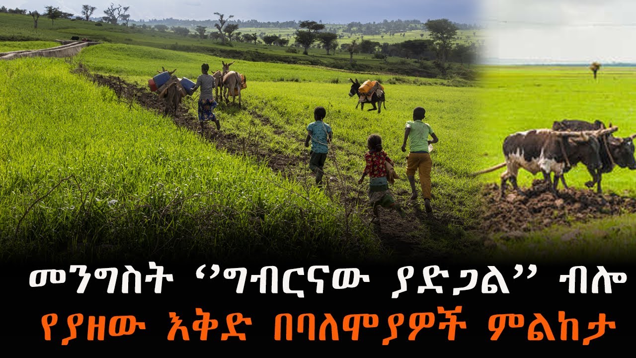 መንግስት በዚህ ዓመት  ‘’ግብርናው ያድጋል’’ ብሎ የያዘው እቅድ በባለሞያዎች እንዴ?