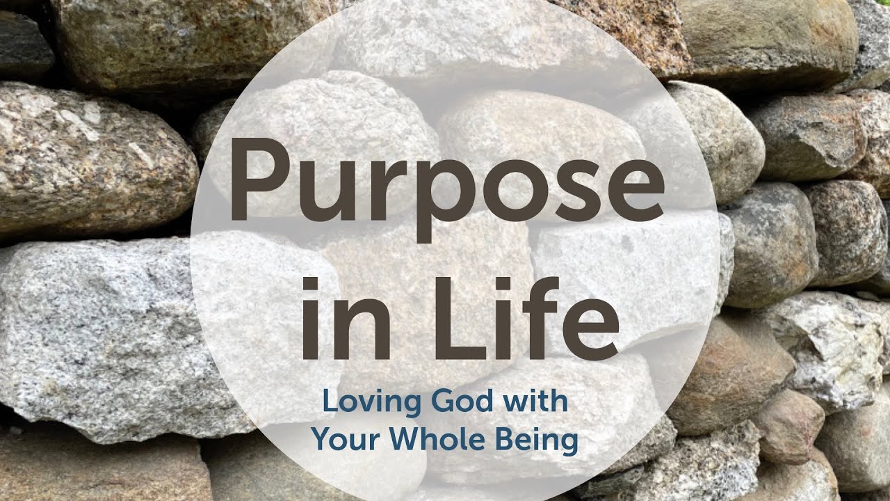 Purpose In Life