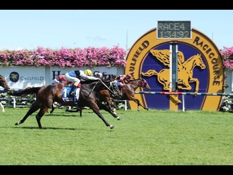 CARLYON CUP-14FEB CAULFIELD
