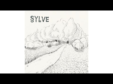 Sylve - WALTER (N°10) - MV48H2020 confinement