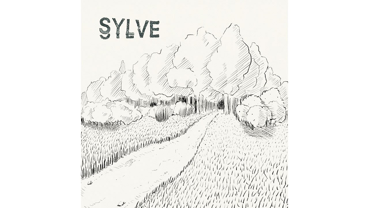 Sylve - WALTER (N°10) - MV48H2020 confinement