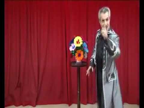 Vanishing Bouquet & Vase With Remote Control by Tora Magic