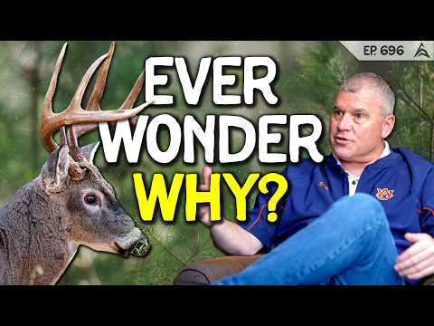 Why Deer Stop Moving When You Start Hunting and The SOLUTION | Dr. Stephen Ditchkoff