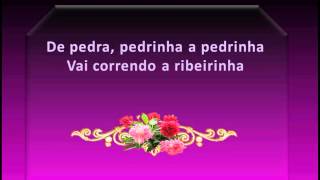 Olha A Ribeirinha Lyrics English Translation