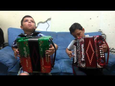 Rici,diogo da costa na sua concertina